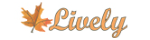 Lively Mağazacılık İç ve Dış Tic.ltd.şti. Lively Mağazacılık İç ve Dış Tic.ltd.şti.